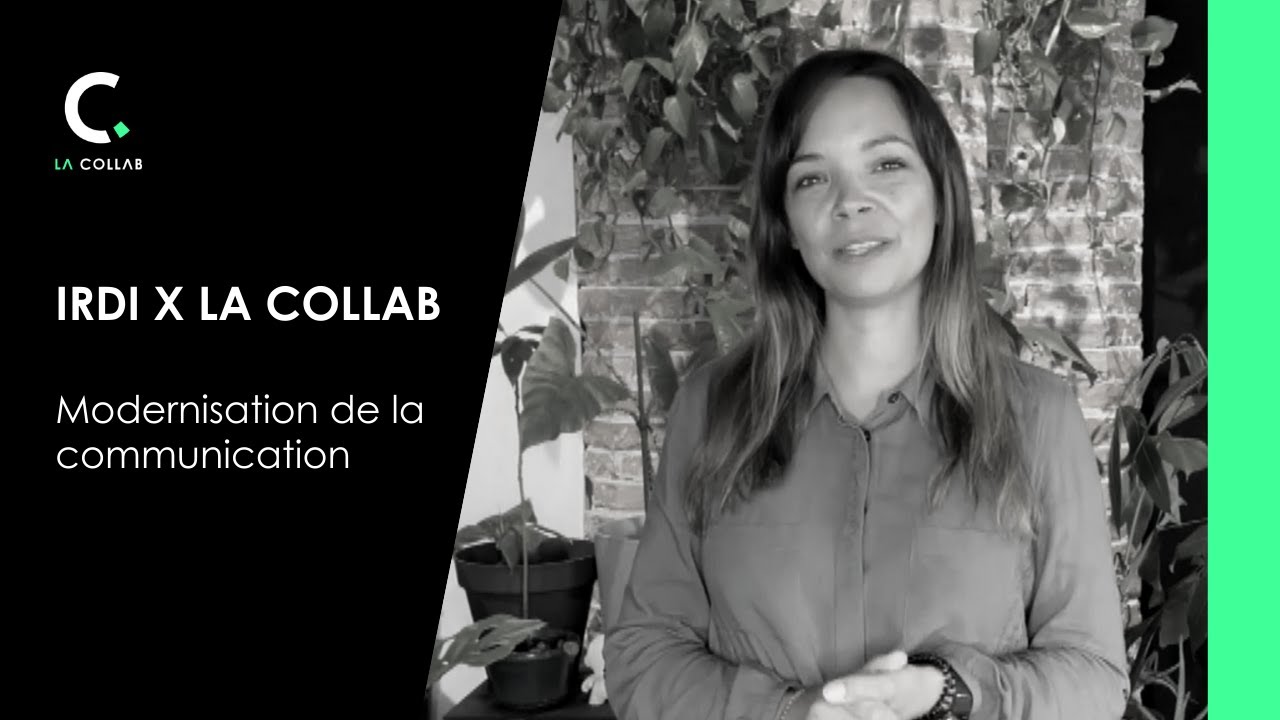 Comment moderniser sa communication ? - Projet IRDI raconté par Laura Strelezki